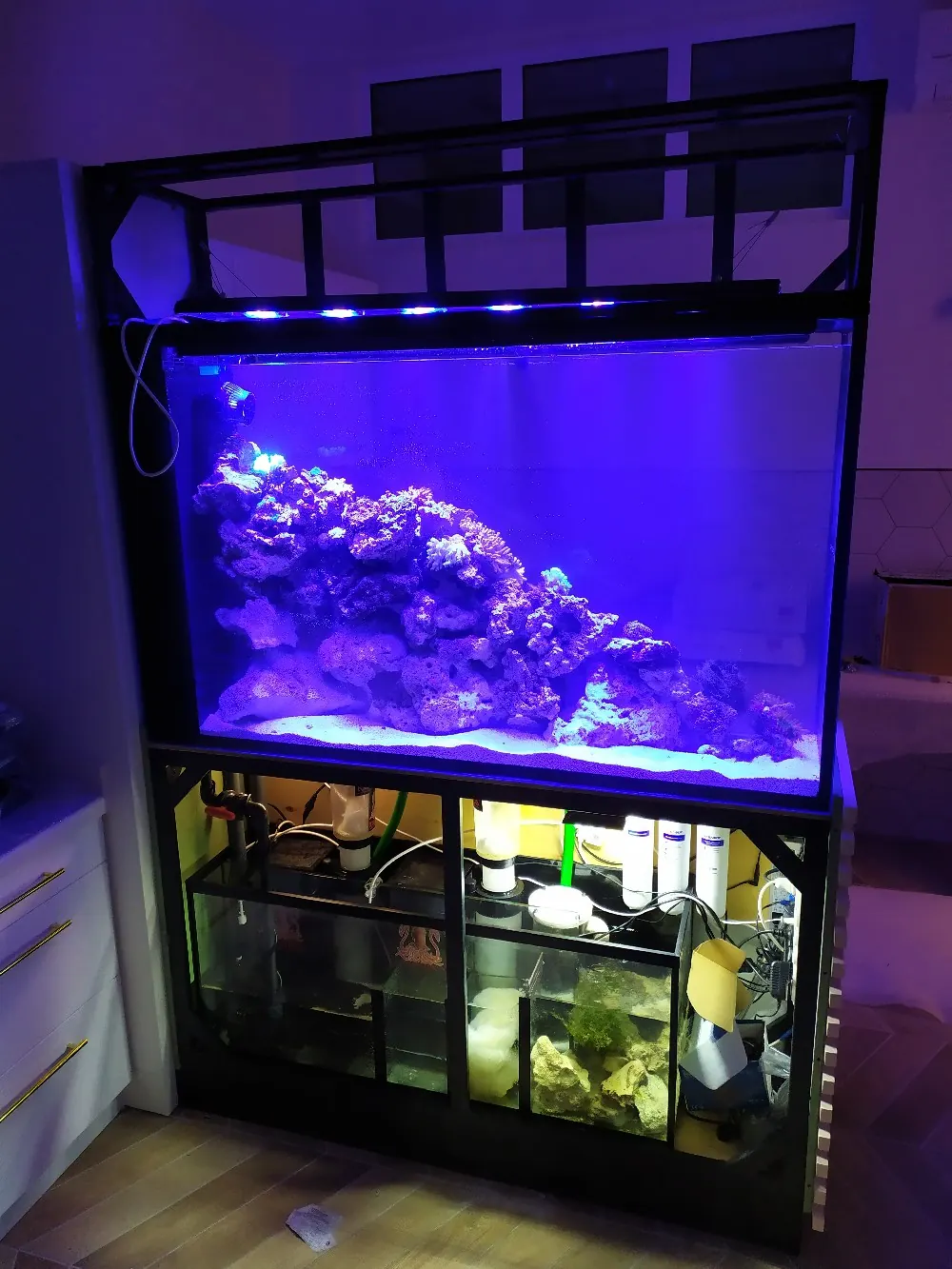 Морской аквариум с техническим отсеком